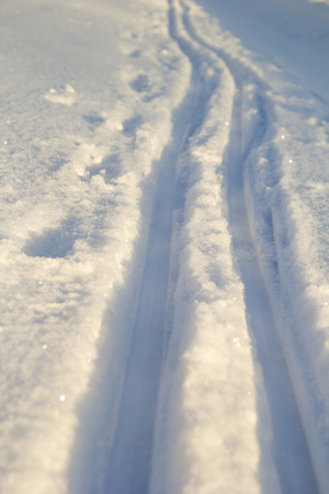 Ski track on white soft fluffy snowの写真素材