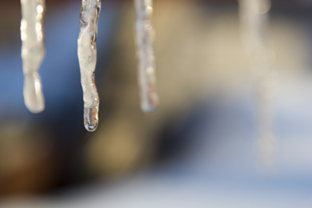 Transparent spring icicles hang down downwards