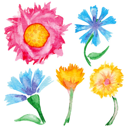 hand-drawn watercolor flowers set on white background. vector illustrationのイラスト素材