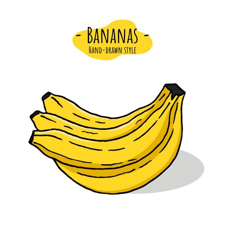 Hand-drawn isolated illustration of banana bunch. Vector.のイラスト素材