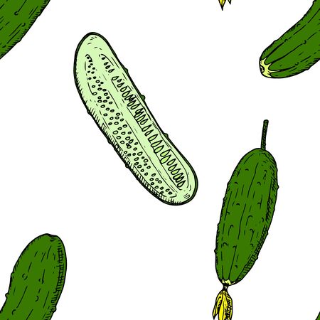 Seamless pattern of cucumbers. Vector cartoon background.のイラスト素材