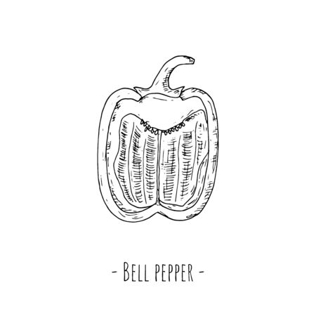 Paprika slice. Vector cartoon illustration. Isolated object on a white background.のイラスト素材