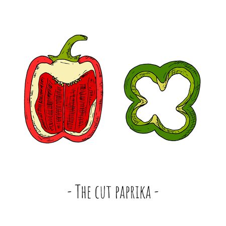 Paprika. Vector cartoon illustration of bell pepper. Isolated objects on a white background.のイラスト素材