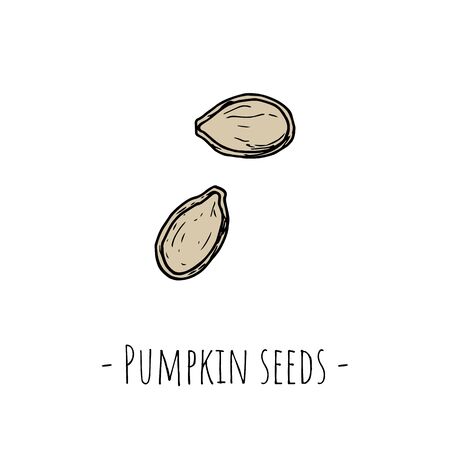 Pumpkin seeds. Isolated objects on a white background. Hand-drawn style. Vector cartoon illustrations.のイラスト素材