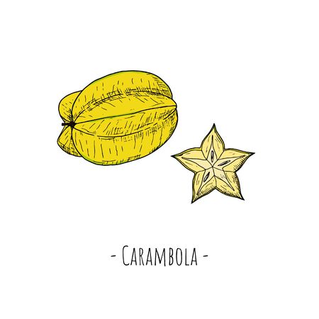 Whole carambola and carambloa slice. Vector cartoon illustration. Isolated objects on a white background. Hand-drawn style.のイラスト素材