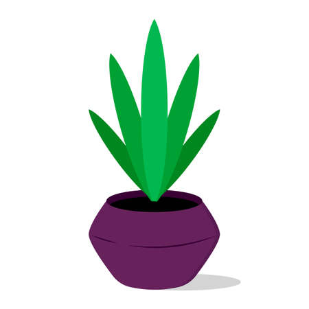 Houseplant. Vector cartoon illustration in flat style. Isolated object on white.のイラスト素材