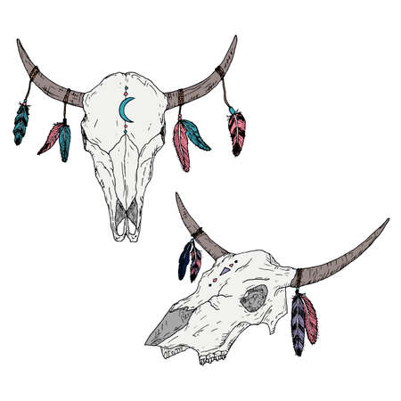 Bull skulls with feathers on horns. Boho style. Vector illustrations. Isolated on white. Hand-drawn style.のイラスト素材