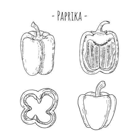 Paprika. Vector cartoon illustrations of bell pepper. Isolated on white. Hand-drawn style.のイラスト素材