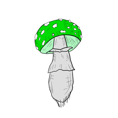 Hand-drawn isolated green amanita. Vector cartoon illustration. Fly-agaric.のイラスト素材