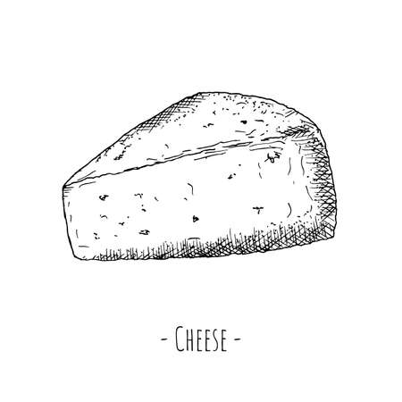 Greek cheese. Vector illustration. Isolated object on a white background. Hand-drawn style.のイラスト素材