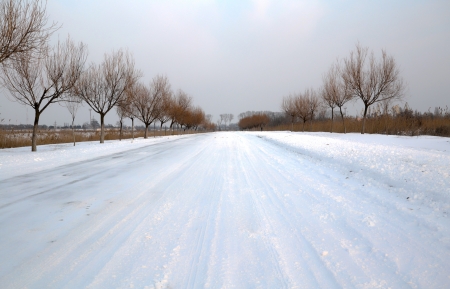 Winter snowy landscape in the afternoonの写真素材