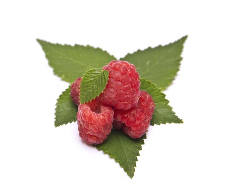 heap of ripe raspberries with leaves の写真素材