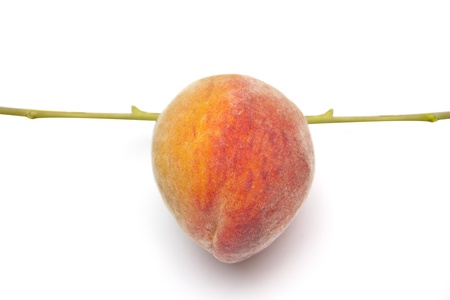 peach on a white backgroundの写真素材