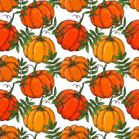 Hand drawn autumn seamless pattern from color pumpkins and leaves. Vector illustration. Colorful. Object for packaging, advertisements, menu.のイラスト素材