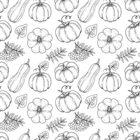 Hand drawn autumn seamless pattern from pumpkins and leaves. Vector illustration. Black and white. Monochrome. Object for packaging, advertisements, menu.のイラスト素材