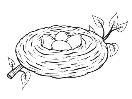 hand drawn nest with eggs. Vector illustration. Isolated on white. Doodle. Sketch.のイラスト素材