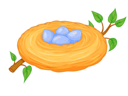 Nest with eggs. Vector illustration. Isolated on white. Cartoon style.のイラスト素材