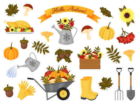collection of autumn elements. Vector illustration. cartoon style. Icons isolated on white.のイラスト素材
