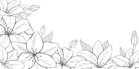 Monochrome flowers on white background. Hand drawn lilies. Horizontal flyer. Vector illustration. Black and white.のイラスト素材