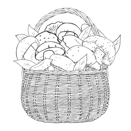Monochrome basket with mushrooms. Vector illustration. Isolated on white. Hand drawn picture.のイラスト素材
