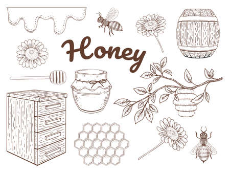 Hand drawn honey collection. Honey, bees, flowers. Set of monochrome objects. Vector illustration. Isolated on white.のイラスト素材