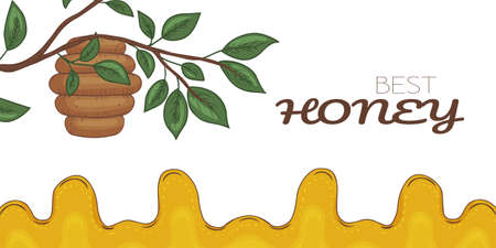 Beehive on a branch and honey. horizontal flyer. vector illustration. cartoon style. black and white.のイラスト素材