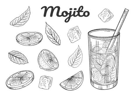 Set of hand drawn monochrome cocktail mojito, lime, mint and ice cubes. vector illustration. isolated on white.のイラスト素材