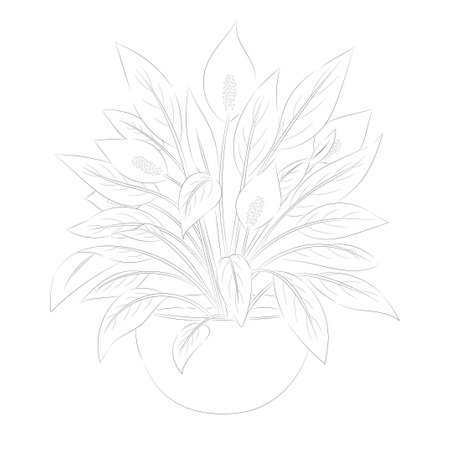 Spathiphyllum flower. Floral vector illustration. Isolated on white. Monochrome. Childrens coloring book.のイラスト素材