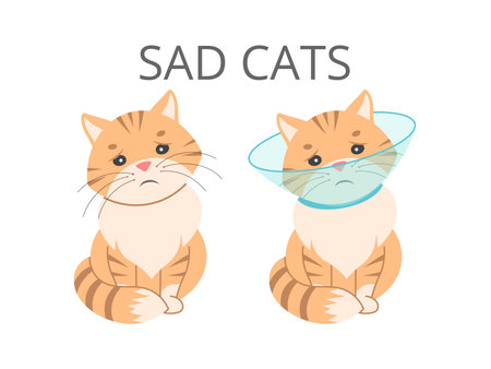Adorable cartoon cats with sad expressions, wearing medical masks and bandages. Perfect for pet care, health, or emotional support designs.のイラスト素材