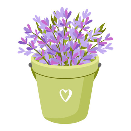 green bucket tin with lavender flowers, perfect for romantic, spring or flower shop designs. Vector illustrationのイラスト素材