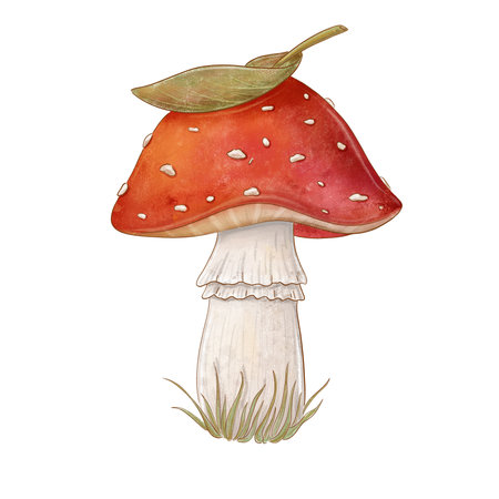 watercolor illustration of a red fly agaric mushroom with white spots, topped with a leaf, perfect for fairy tale, nature, or autumn designs.の写真素材