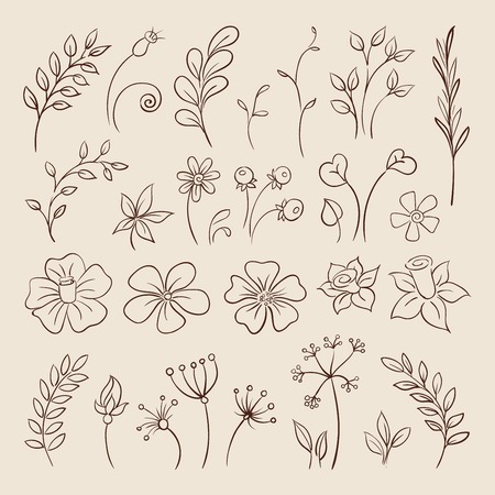 Doodle elements of Flowers, buds, leaves.のイラスト素材