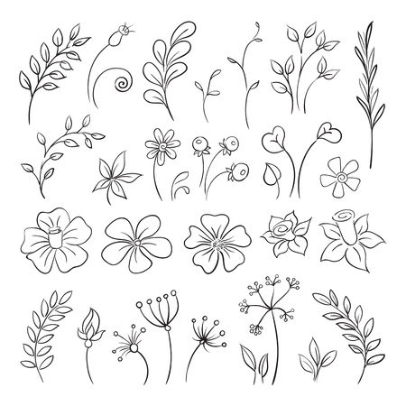 Doodle elements of Flowers, buds, leaves.のイラスト素材