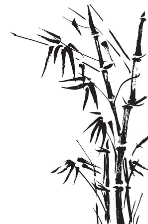 Bamboo branches isolated on the white background. Vectorのイラスト素材