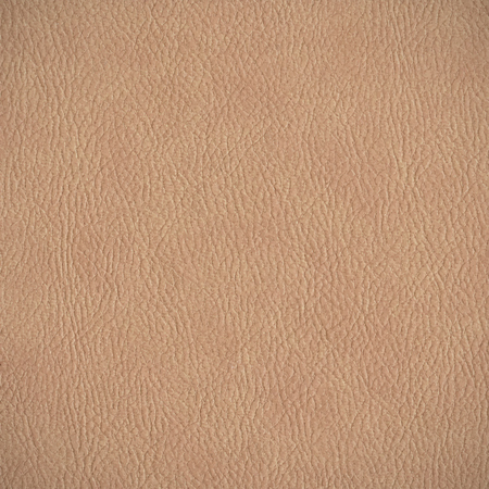 Leather texture. horizontal background. Vectorのイラスト素材