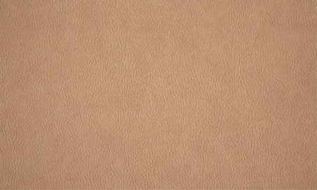 Leather texture. horizontal background. Vectorのイラスト素材