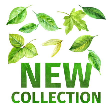 New collection. Vector illustration of spring leaves. watercolorのイラスト素材