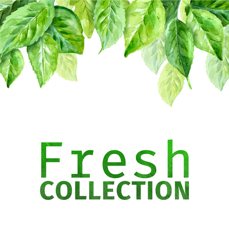 New collection illustration of spring leaves. のイラスト素材