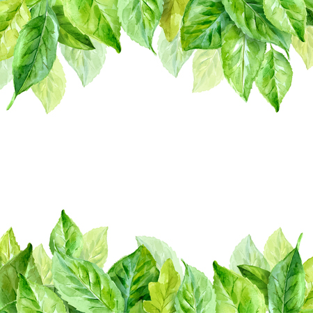 Vector illustration of spring leaves. watercolor backgroundのイラスト素材