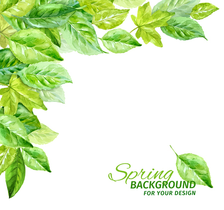 Illustration of spring leaves. watercolor angular composition.のイラスト素材
