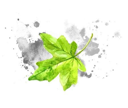 Green watercolor leaves with gray paint splashes on paper.のイラスト素材