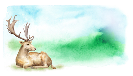 Watercolor forest landscape. The deer on the lawn. Template for posters and postcards.の写真素材