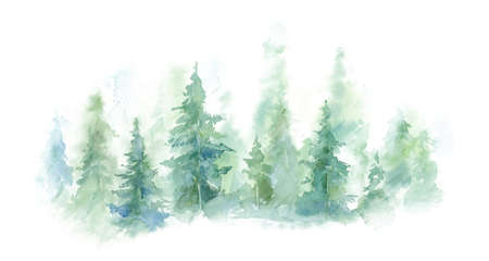 Green landscape of foggy forest, winter hill. Wild nature, frozen, misty, taiga. watercolor backgroundの写真素材