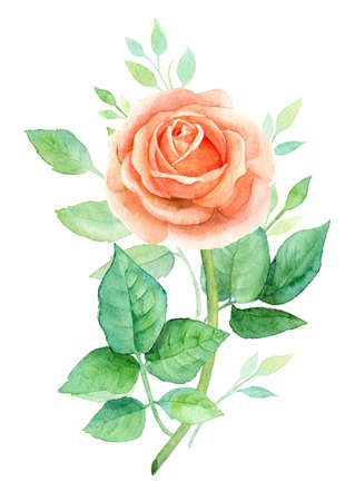 Watercolor illustration of world map in flowers. Template for DIY projects, wedding invitations, greeting cards, posters, blogs, websiteの写真素材