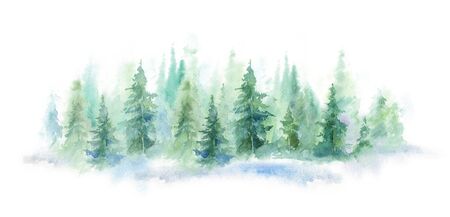 Green landscape of foggy forest, winter hill. Wild nature, frozen, misty, taiga. horizontal watercolor backgroundの写真素材