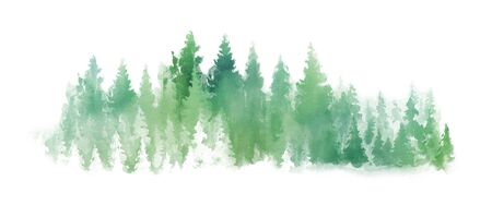 Watercolor Green landscape of foggy forest hill. Wild nature, frozen, misty, taiga. Horizontal watercolor background. Evergreen coniferous trees.の写真素材