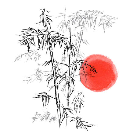 Japanese traditional bamboo branches isolated on white background. Vector illustration. Black silhouette of bamboo against the background of the red circleのイラスト素材
