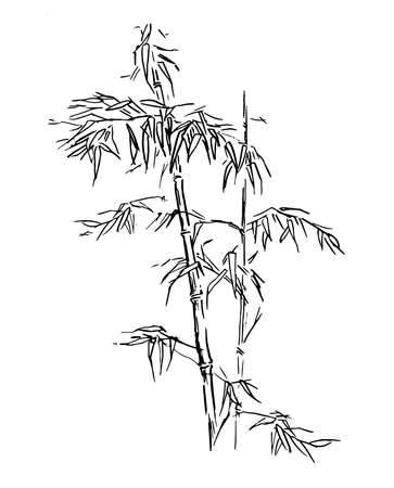 Chinese traditional bamboo branches isolated on white background. Vector illustration. Black silhouette of bamboo.のイラスト素材