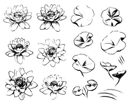 Sketch Water lilies isolated on white background. The lotuses and leaves. Artistic isolated design elementsのイラスト素材