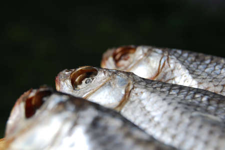 close-up dried fishes against the black backgroundの写真素材